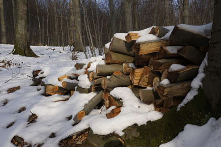 firewoodの写真素材