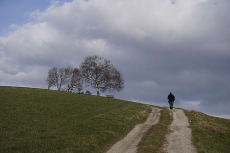 the wayの写真素材