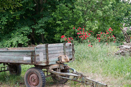 hay cartの写真素材