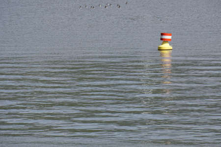 buoy