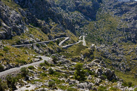 Serpentine in spainの写真素材