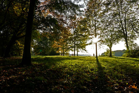 autumn mood in a parkの写真素材