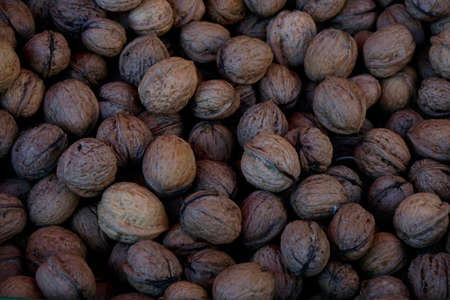 walnutsの写真素材