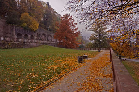 autumn in a parkの写真素材