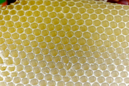 Honeycomb
