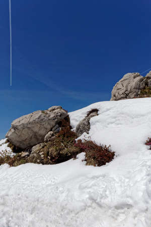 mountain landscape in springの写真素材