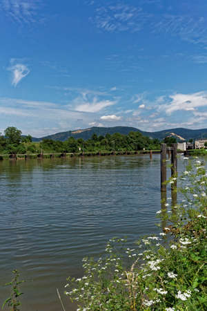 stream landscape in summerの写真素材