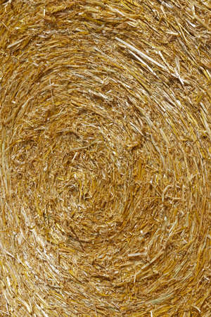 hay bale closeupの写真素材