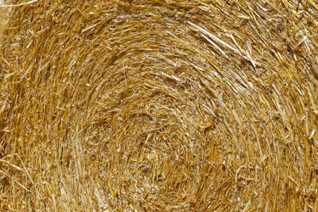hay bale closeupの写真素材