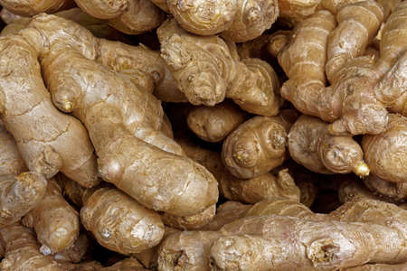 heap of fresh ginger roots