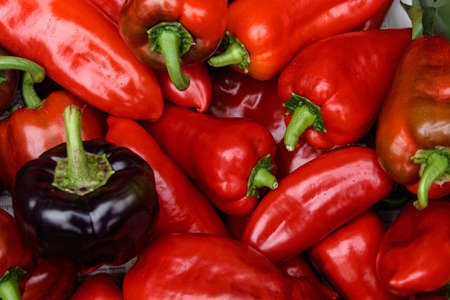 fresh black and red pepper, closeup
