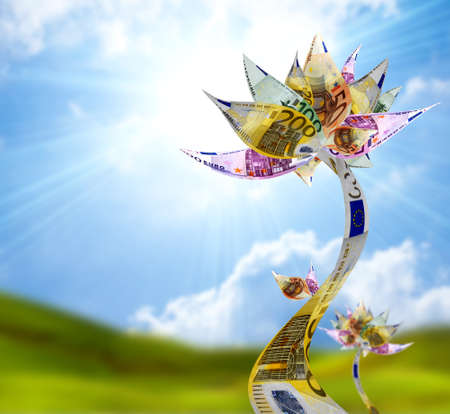 Money  flower  with euro bank notesの写真素材