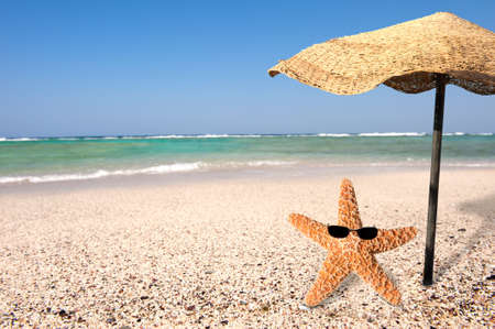 Summer concept with funny starfish  の写真素材