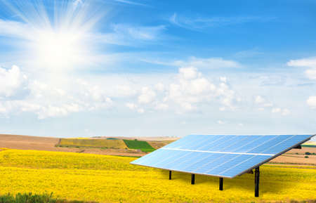 Solar panel in a yellow fieldの写真素材