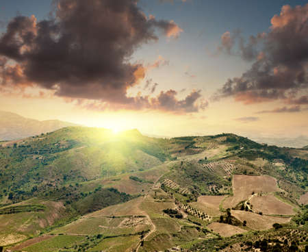 Bright sunset and rural fieldの写真素材