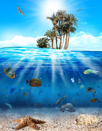 Underwater scene with fishes and seashell Underwater scene with fishes and seashell