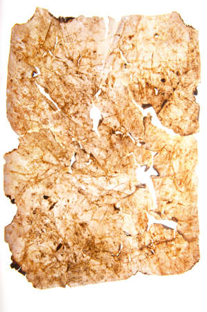 Grunge old parchment on white backgroundの写真素材