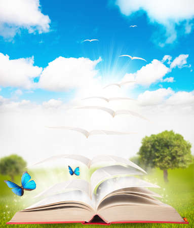 book that turns into a birdの写真素材