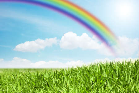 view of a green field on a rainbow backgroundの写真素材