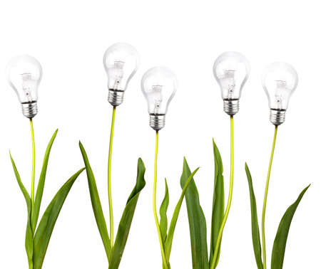 Green idea concept on white backgroundの写真素材