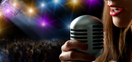 Singer at the concertの写真素材