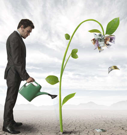 Businessman watering a plant that produces money