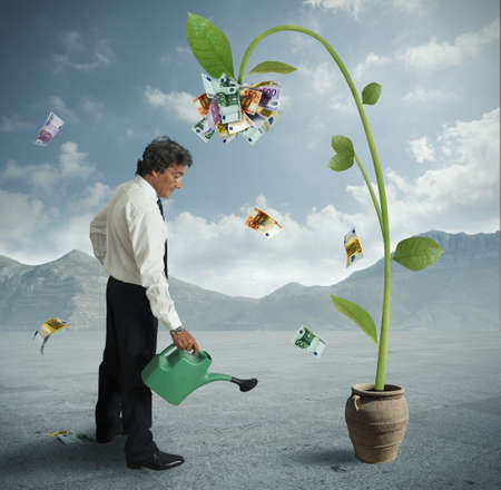 Businessman and a plant of moneyの写真素材