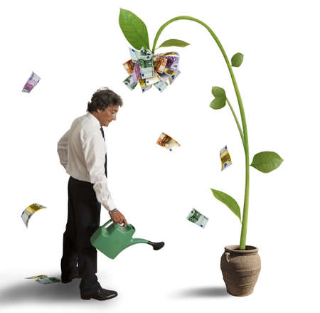 Businessman and a plant of money Businessman and a plant of money