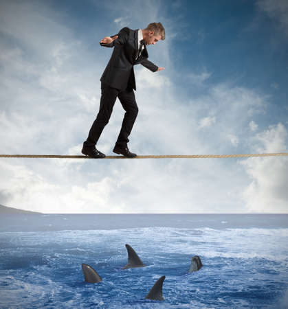 Concept of risk with businessman and sharkの写真素材