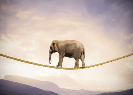 Concept of difficulty in business with elephant on a rope