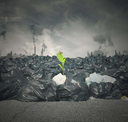 Concept of pollution and new green lifeの写真素材