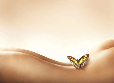 Butterfly resting on a naked woman backの写真素材