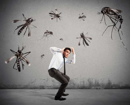 Giant mosquitoes attacking a frightened scared man