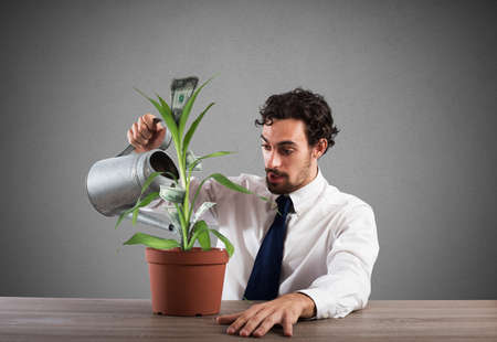 Businessman watering a plant that produces moneyの写真素材