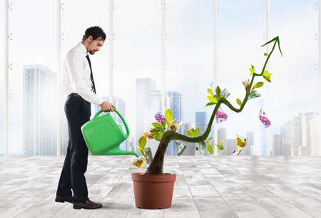 Businessman watering money coins as if they were plants