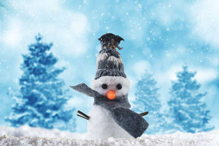 Cute Snowman with hat and scarf wishes merry christmas on the snowの写真素材