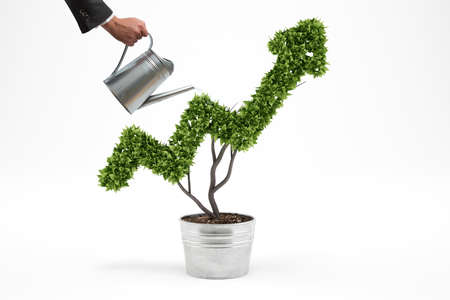 Businessman watering a plant that grows like an arrow . 3D Renderingの写真素材