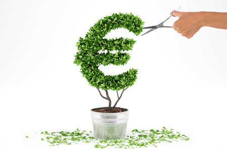 Potted plant with eur shape. 3D Rendering