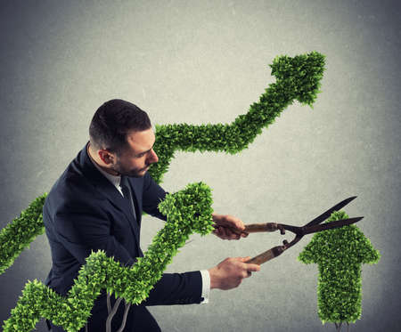 Businessman that cuts and adjusts a plant shaped like an arrow stats. Concept of startup company . 3D Renderingの写真素材