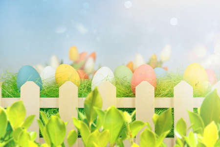 Easter decorations with eggs on a fresh green fieldの写真素材