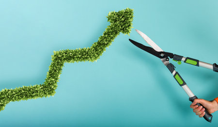 Gardener cuts a plant with a shape of arrow. concept of success and improvement. cyan backgroundの写真素材