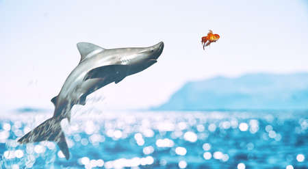 Small red fish must face a big shark to achieve its goals