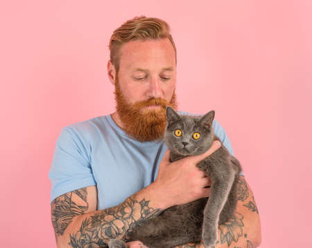Man with beard and tattoos caresses a grey catの写真素材