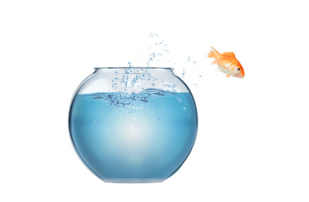 Goldfish leaps out of the aquarium to throw itself into the seaの写真素材