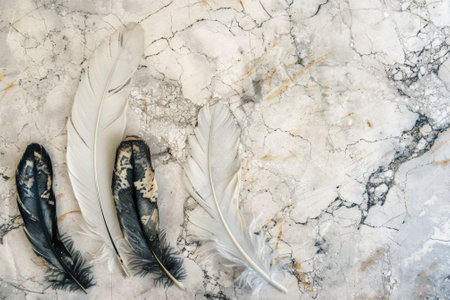 Top view of delicate feathers arranged on a cracked marble backgroundの素材