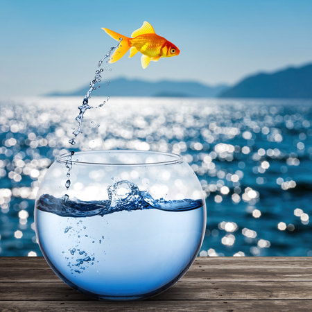 Goldfish jumps out of bowl into the open air above a sparkling sea on a sunny day with mountains in the backgroundの素材