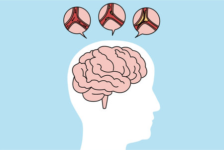 Medical illustration of human brain strokeのイラスト素材
