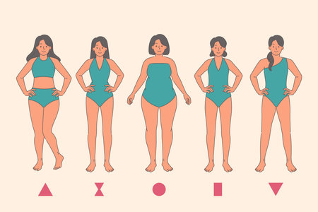 Anatomy woman body types and different species figures that affect size of breasts and hips or waistのイラスト素材