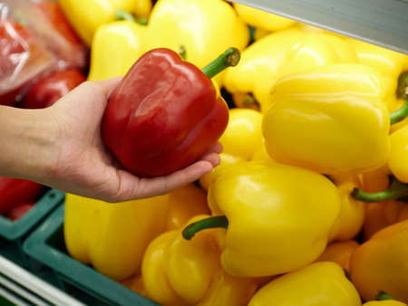 Woman choosing red sweet pepper in storeの写真素材
