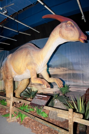 KUALA LUMPUR, MALAYSIA-MAY 12: A life size Parasaurolophus, a Hadrosaurids or duck-billed dinosaurs on displayed at the Dinosaurs Live! exhibition at the National Science Centre on May 12, 2012 in Kuala Lumpur, Malaysia.のeditorial素材